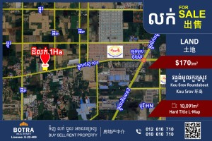Feature Image