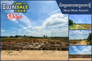 Feature Image